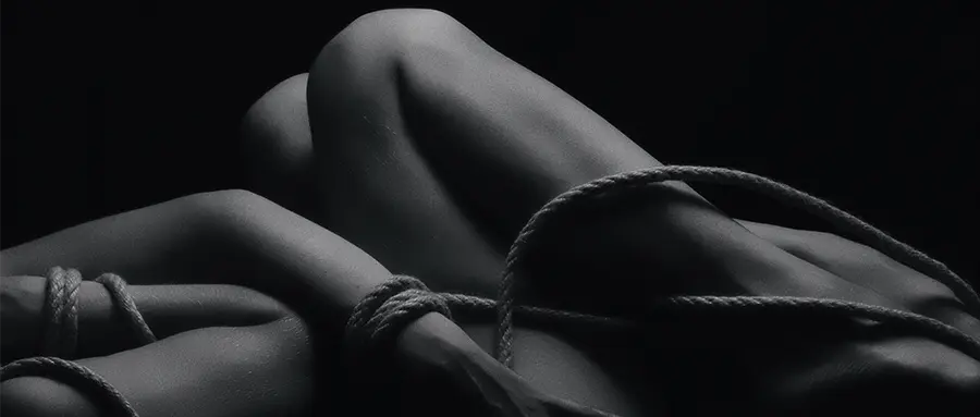 西檬之家-字母圈新人如何理解BDSM核心术语？