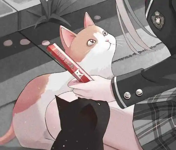 k8猫系 - 2023_11_09_15_16_IMG_8927