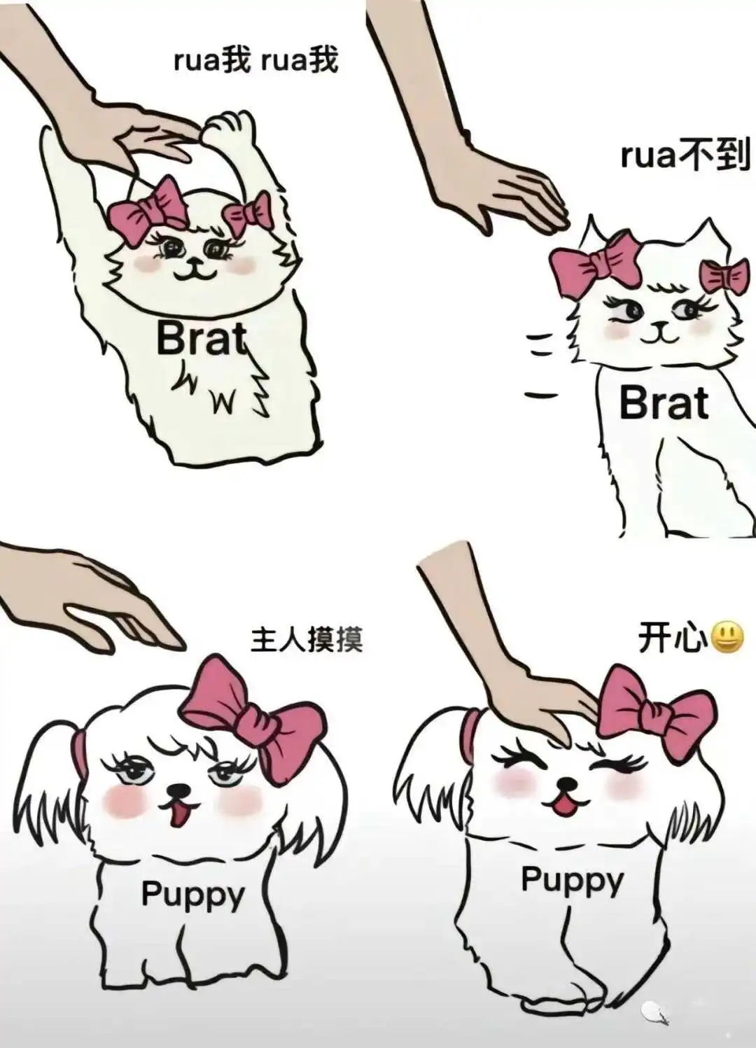 k9是什么：实用指南