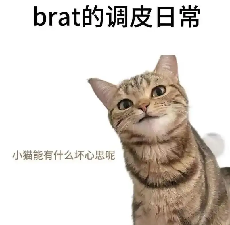 西檬之家-斯慕圈是什么？BDSM新人入圈权威指南