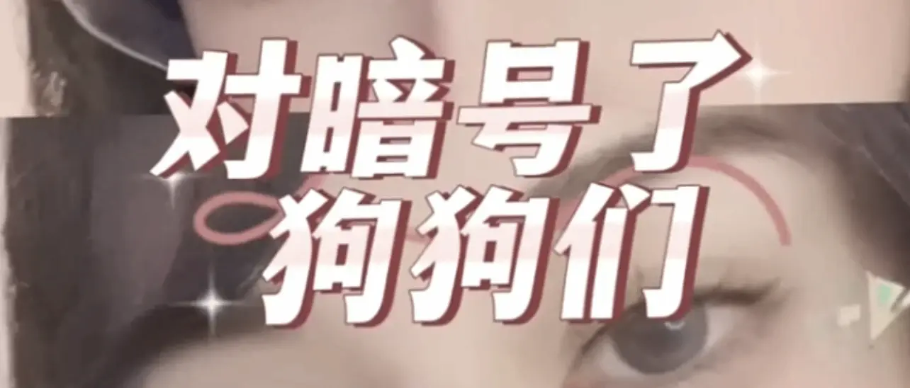 西檬之家-Dirt Talk 是什么？字母圈新人指南