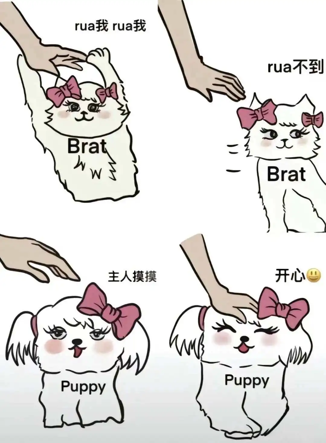 【西檬之家】大圈入门：BDSM文化和关键术语解析
