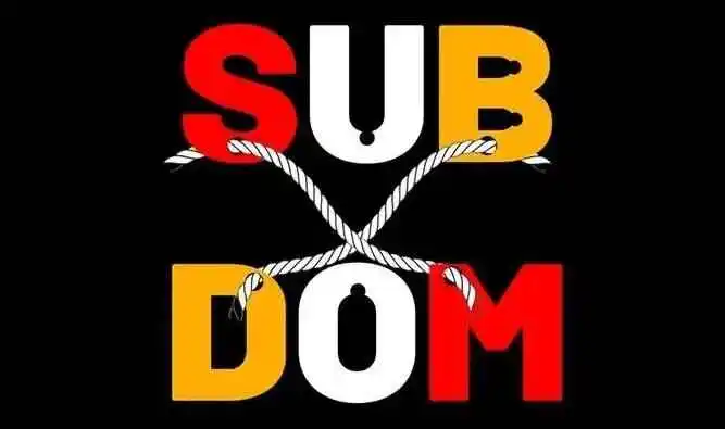 【西檬之家】字母圈管教指南：新人必读的BDSM入门百科