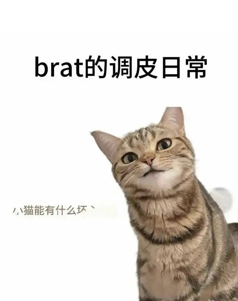 【西檬之家】BDSM字母圈的DOM是什么意思？